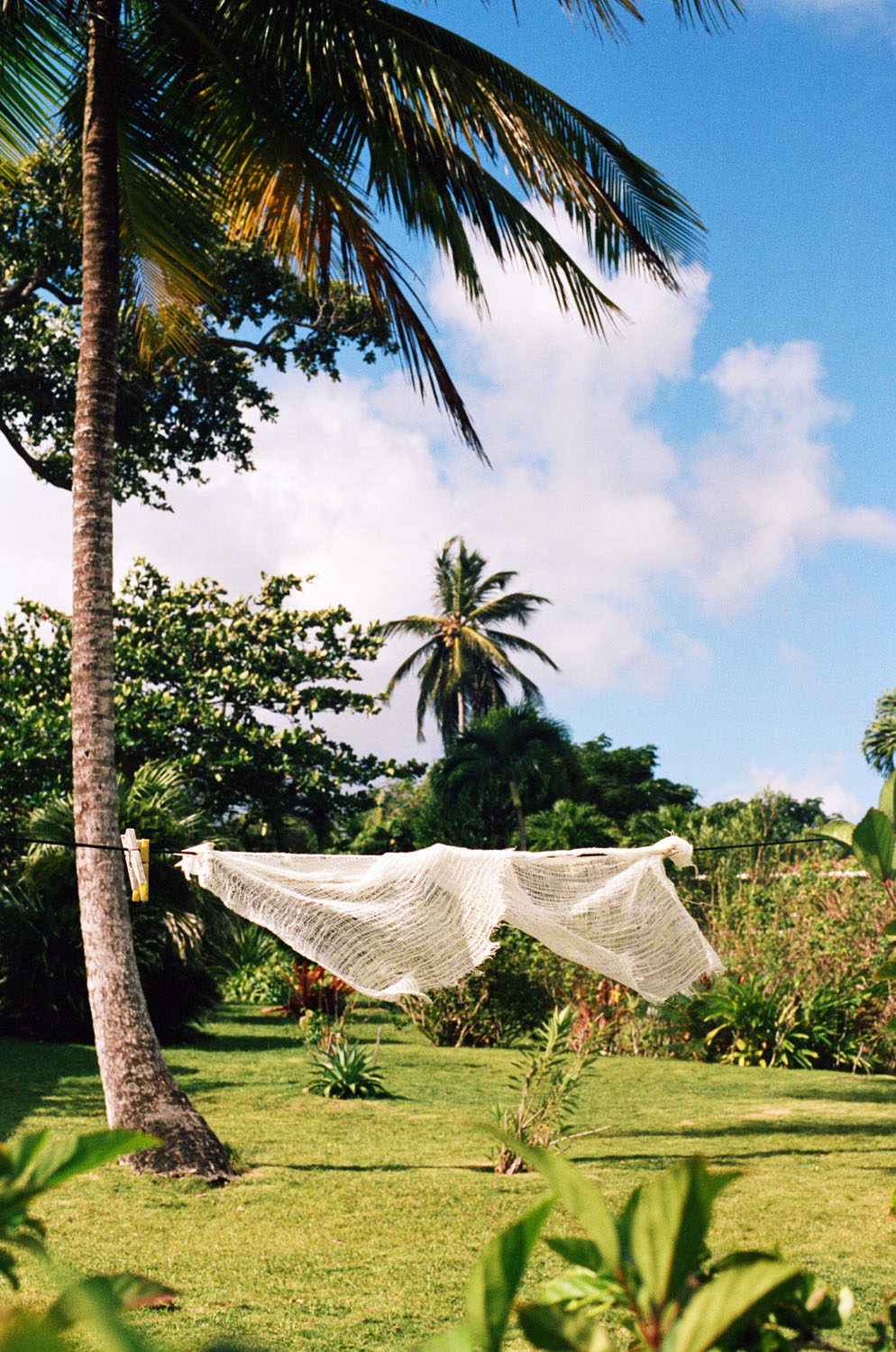 Dominica