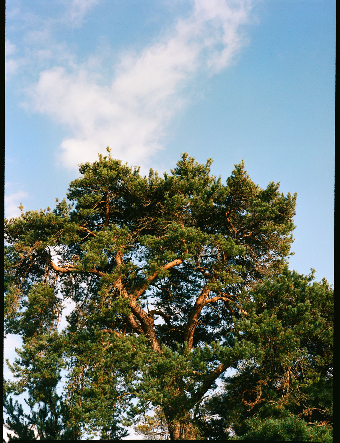 Haward Estate