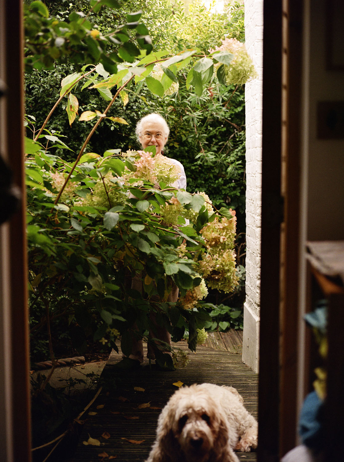 Haidee Becker | The Observer