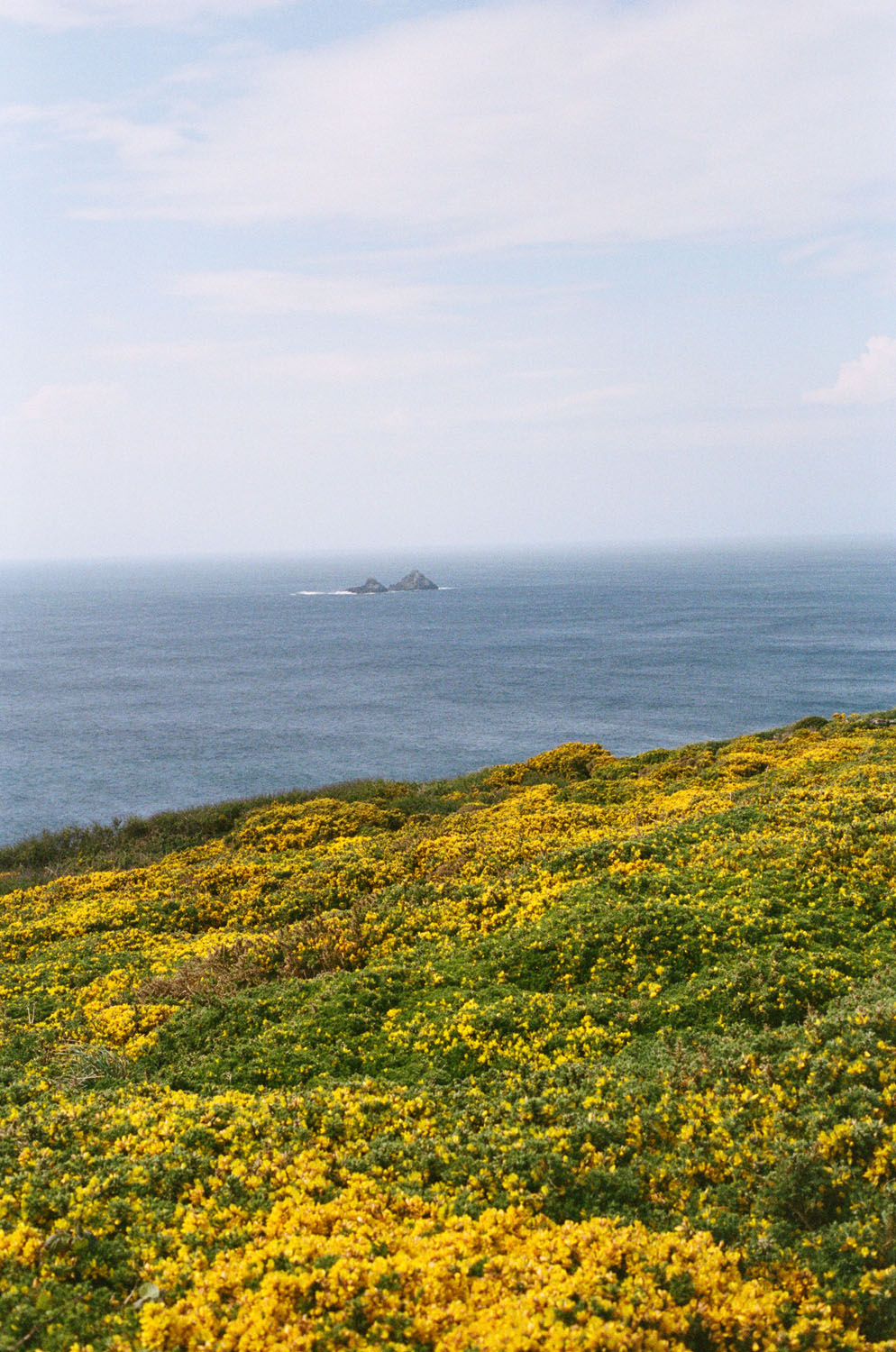 Coat Paints | Cornwall