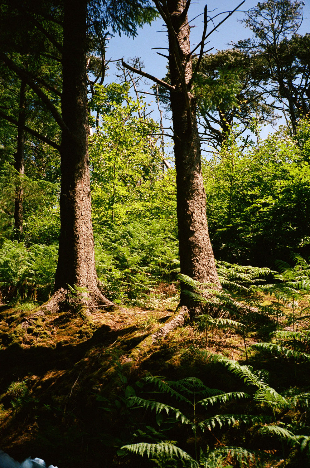 Coat Paints | Cornwall